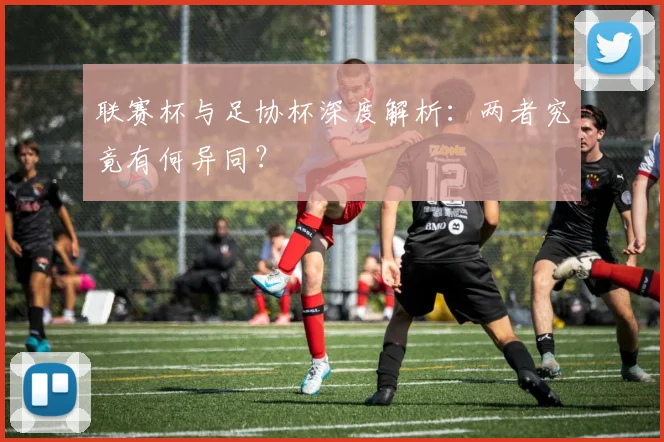 联赛杯与足协杯深度解析:两者究竟有何异同?