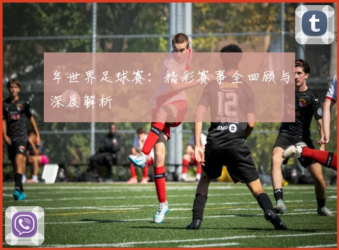 年世界足球赛:精彩赛事全回顾与深度解析